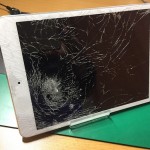 ipadmini2